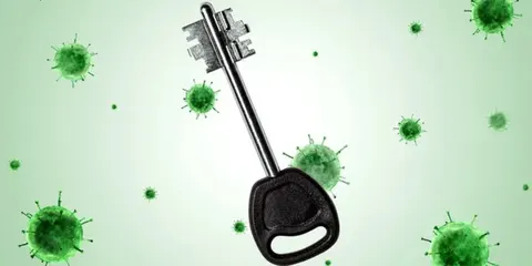 Відтворені білки ссамців віком до 160 млн років виявилися ефективнішими за сучас