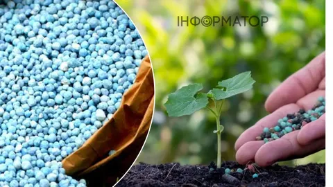 Добрива дорожчають: як це вплине на врожайність та ціни