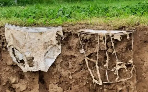 Швейцарські вчені закопали 2000 трусів, щоб перевірити здоров'я ґрунту