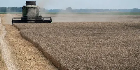 Прифронтові аграрії отримають $10,5 млн на зберігання врожаю