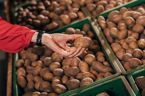 Урожай картоплі буде меншим, але дефіциту не очікують — Мінагрополітики