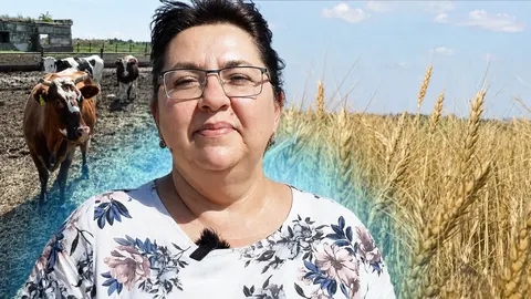 Продовольча незалежність України: що показують цифри Миколаївщини
