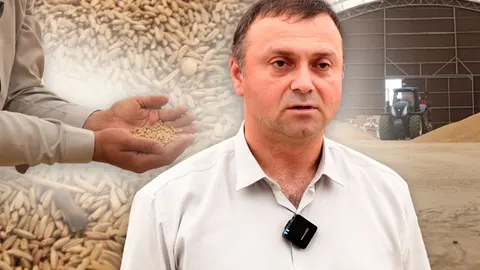 Зерно на Львівщині: через експортні проблеми аграрії шукають додаткові сховища