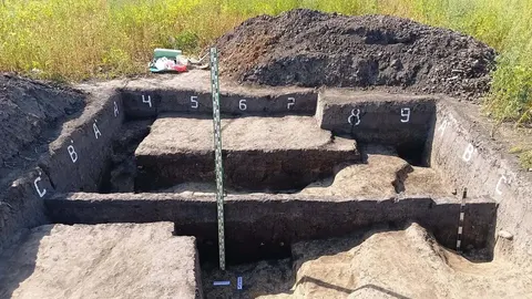 Під Тустанію знайшли неолітичне поселення та ріг тура