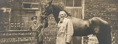 Ефект Розумного Ганса: як кінь-математик навчив науку перевіряти саму себе