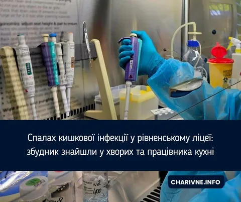 Спалах кишкової інфекції в рівненському ліцеї: у хворих і на кухні знайшли сальм