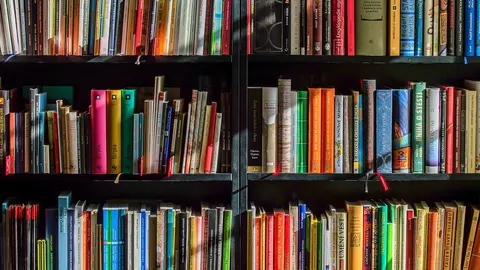 Шкільні бібліотеки отримають книги на 100 млн грн: що відомо