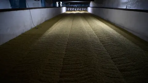 Російські фермери пропонують скоротити посіви через кризу з експортом зерна