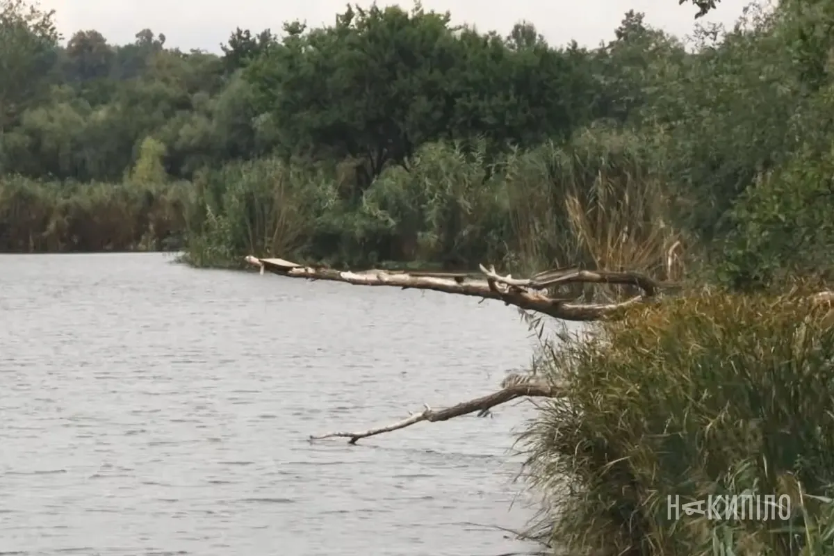 Війна й старі очисні споруди: що відбувається з водоймами Харківщини