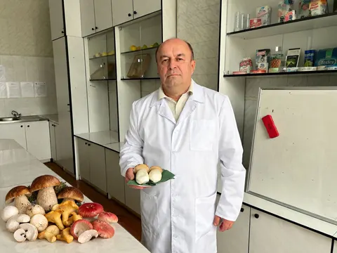 Лісові проти магазинних: дослідження показало рівень нітратів у грибах
