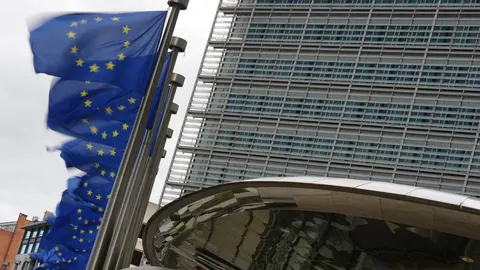 ЄС відповів Україні щодо 220 млн євро для аграріїв