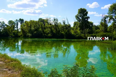 Цвітіння Дніпра: як білий товстолобик може врятувати водойми