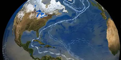 Атлантична течія слабшає вже майже 20 років — що це означає