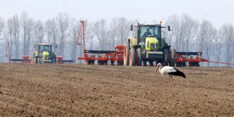 Нацбанк продовжив строки розрахунків для аграрного експорту до 150 днів