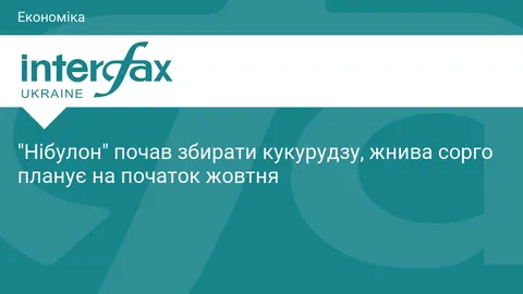 «Нібулон» збирає кукурудзу на Черкащині, сорго жнивуватимуть у жовтні