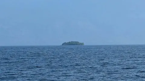 Плавучий острів із деревами здивував науковців у канадському водосховищі