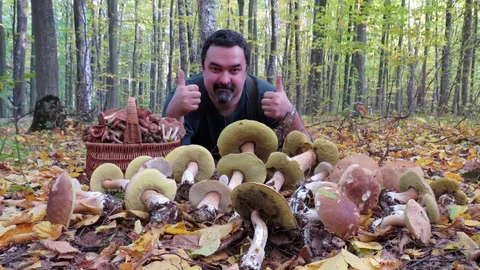 Міколог-аматор з Хмельниччини: 50 років досліджень і 160 видів грибів