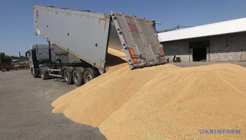 Експорт агропродукції у серпні: зернові лише 21% від потреби