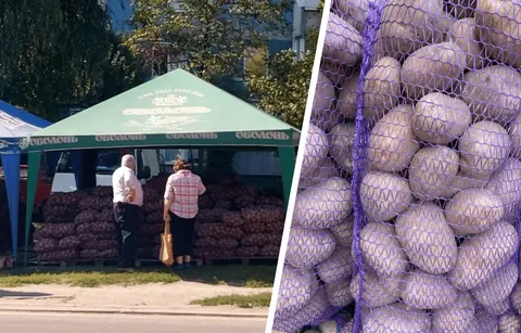 Спека вдарила по врожаю картоплі: що чекає на ціни восени