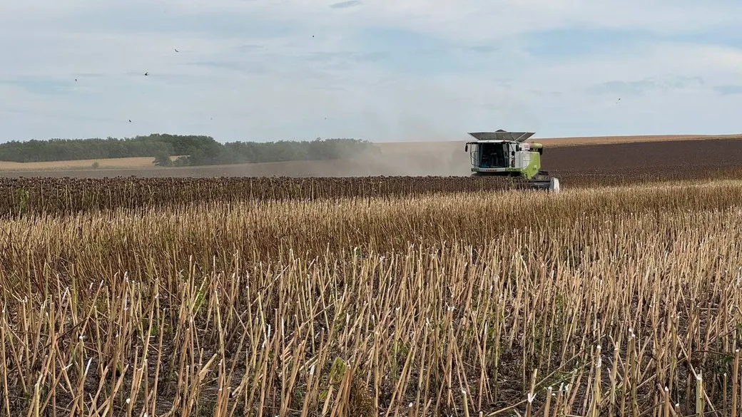 Урожай зібрано, але не продано: як аграрії Кіровоградщини переживають падіння експорту