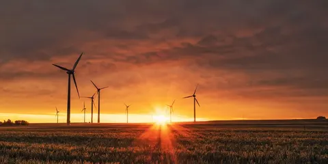 До 2100 року понад 40% суходолу може стати посушливим — дослідження