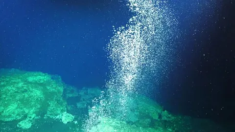 Як морські мешканці за кілька років закрили витік метану після помилки вчених