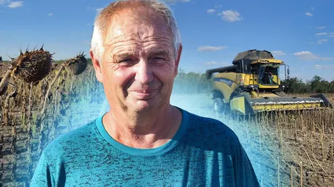 Миколаївщина збирає соняшник: врожайність 12–14 ц/га і ціни, які не тішать