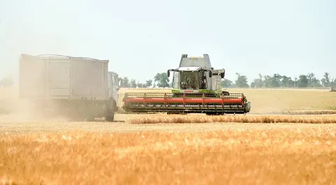 Україна отримає $10,5 млн на сховки врожаю для прифронтових аграріїв