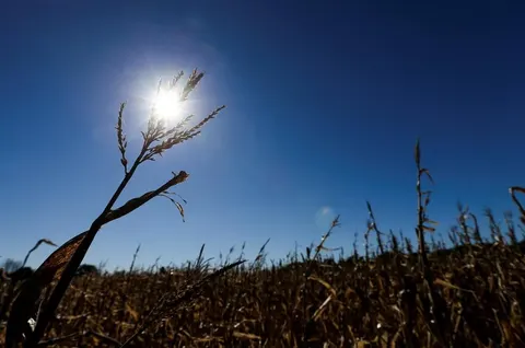 Глобальне потепління: чому поріг 1,5°C вже не втримати і що це означає