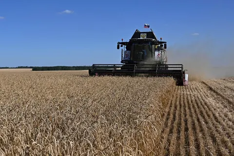 Як удари по портах впливають на аграріїв РФ: пояснюємо