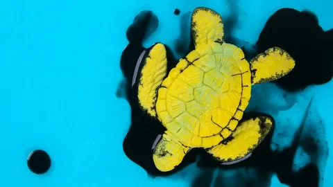 Вуглець від спалювання палива знайшли на дні Атлантики