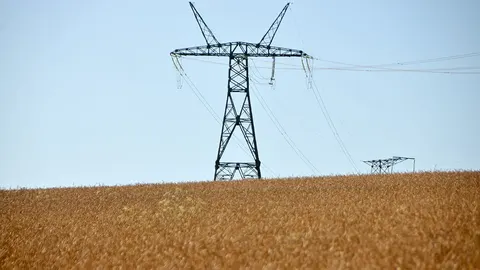 Аграрії зібрали 56% площ: як це вплине на навчальний рік і ціни