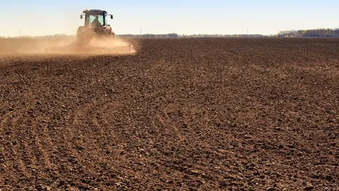 Компенсації аграріям за втрачені посіви: план уряду на 2026-2027 роки