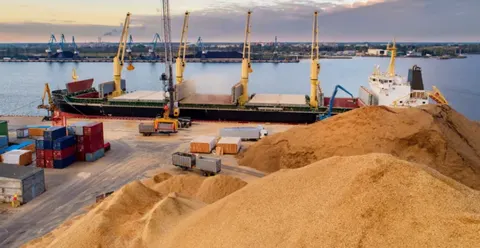 Аграрії Буковини: як війна ускладнила продаж і експорт зерна