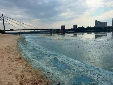 Чому Дніпро зеленіє та піниться: пояснення екологів КМДА