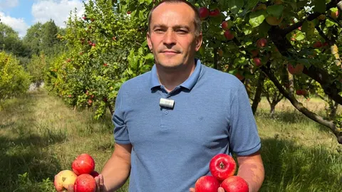 Три гектари, 13 сортів: як працює навчальний яблуневий сад у Глухові