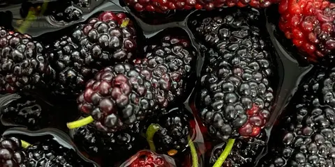 Шовковиця і рівень цукру: що показали дослідження та чому не варто бігти по добавки
