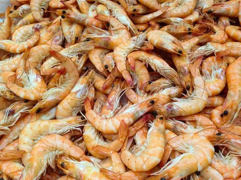 Японські креветки витісняють раків у Дунаї: що це означає для екосистеми