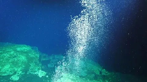 Як морські організми за два роки усунули витік метану, який вчені вважали катастрофою