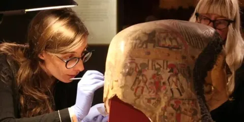 У давньоєгипетських фарбах знайшли білки моринги: що це означає